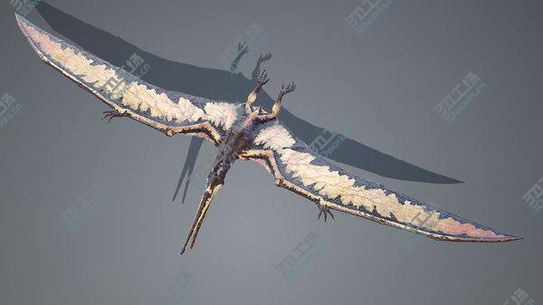 images/goods_img/20210312/Pteranodon 3D model/5.jpg